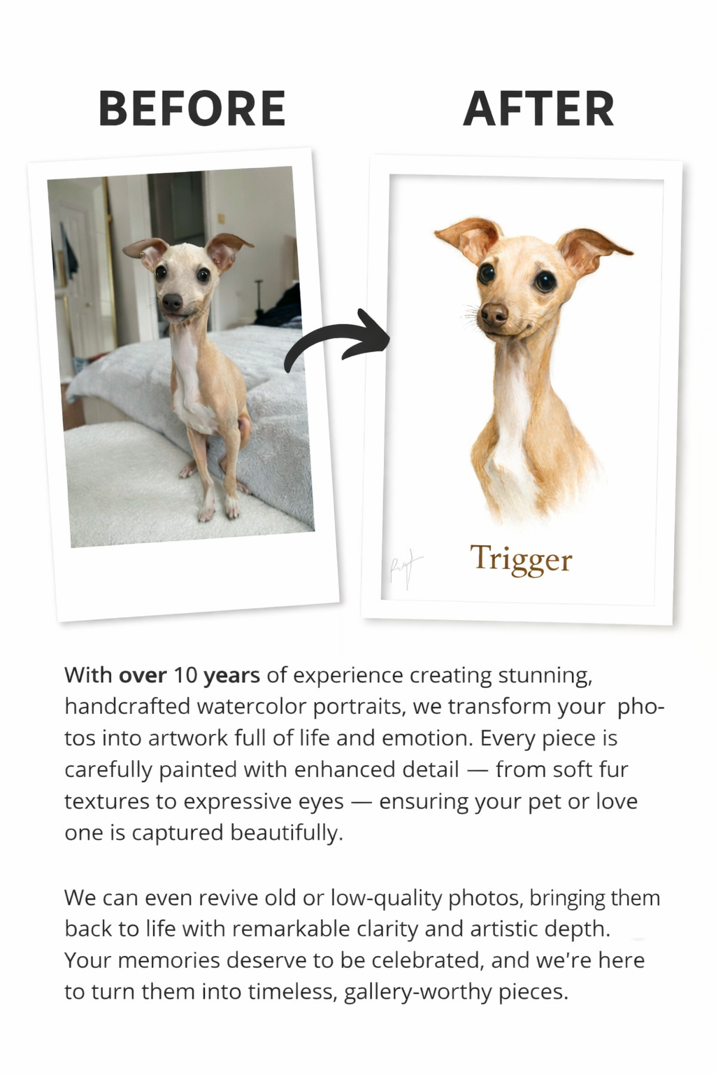 Custom Pet Portrait: Pet Memorial Art